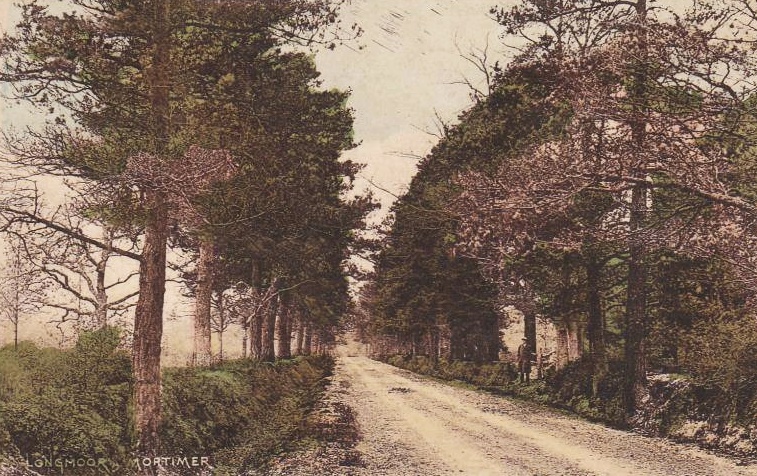 Longmoor Lane