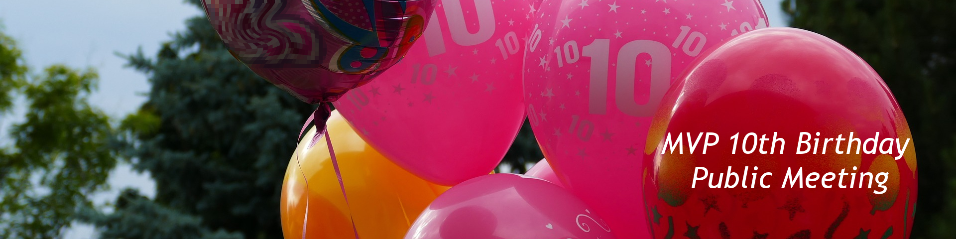MVP 10th Birthday Public Meeting
