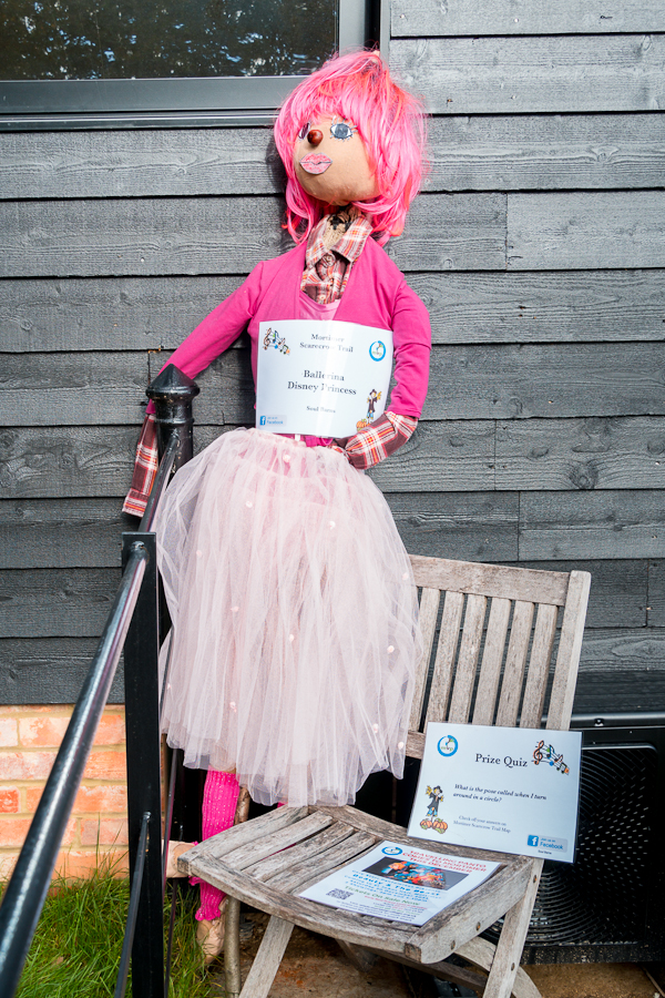 Ballerina Disney Princess