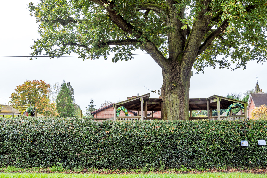 The Loch Ness Monster