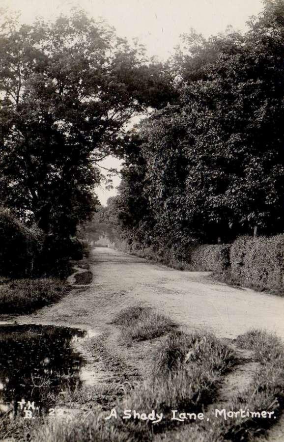 A Shady Lane In Mortimer