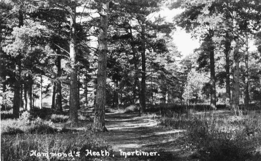 Courtesy of John Wells